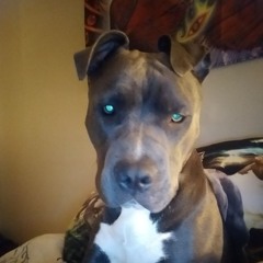 where's the loyalty .mp3