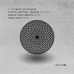 PREMIERE: SCIPPO - WHALES ( FABRI LOPEZ REMIX)
