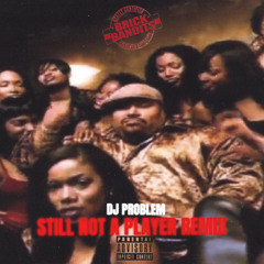 Still Not A Plxyer Remix - DJ Problem
