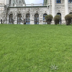 Pashkov's Great Sightseeing