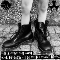 Alan Fitzpatrick - We Do What We Want - Kris Tulloch - I Do WTF I Want Remix ( 16 - Bit Master )