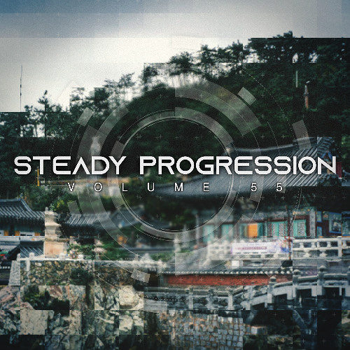 Steady Progression Vol. 55