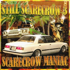 STILL SCARECROW 3 (FULL TAPE)