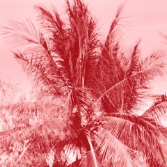 Brasil and friends mix 12 07 25