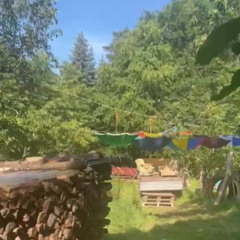 Techno im Wald - Live Session - Open Air Season 2025