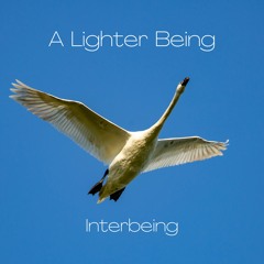A Lighter Being | Scott Reich