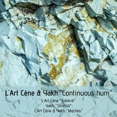 MOUCHES ( L'Art Cène ft Yakh)
