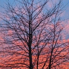 Liquid D'n'B Mix 2025