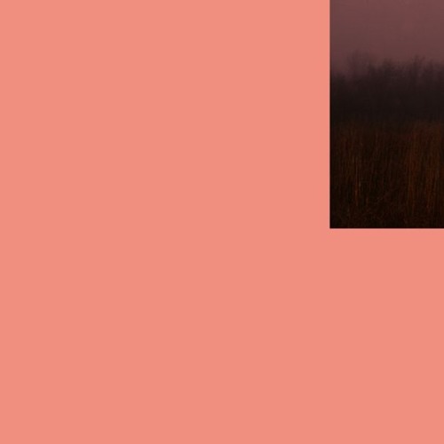demo098
