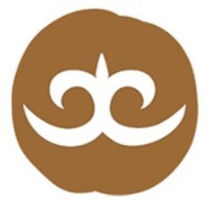 Who Gets to Fly by Hazel Katz [Study]