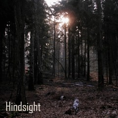 Hindsight