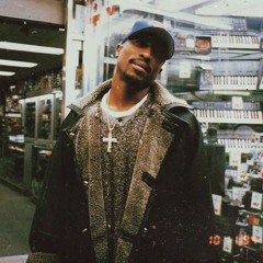 2Pac - Thug Style (No Role Modelz)