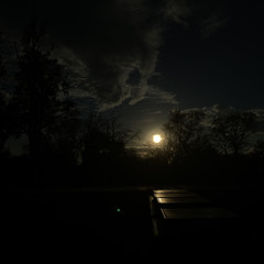 Jace! - Top Kid Rockstar (Unreleased)