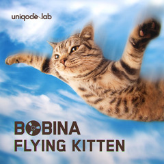 Flying Kitten
