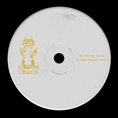 The Prodigy - Charly (RAABs Schranz Bootleg) FREE D/L