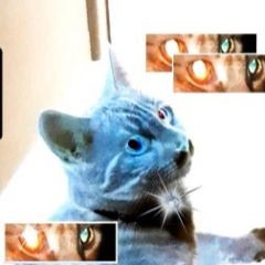 sleeplessnightspromethzinegotmejanky