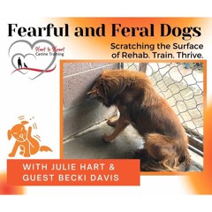 Fearful & Feral Dogs - Scratching the Surface