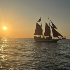 PeOPle w/ TurNTABLeZ.. #ABSolUTEl-y SENDING IT><!>>