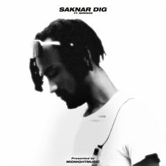 Saknar dig (feat. Beriwan)