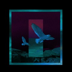 Flourish (Prod. Savi Beats)