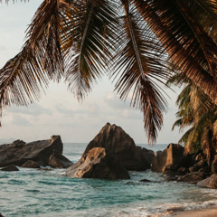 rabbit know how to win against fox