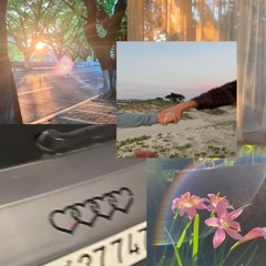 Never (ft. Shiloh Dynasty)