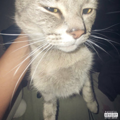tivali (prod.YnngChukk)