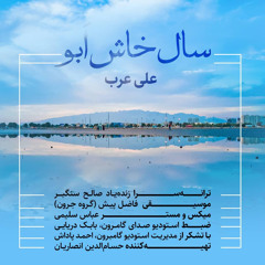 ali arab o zamon sal khash abo mix.mp3