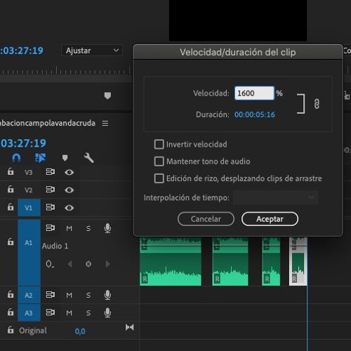 Una abeja es una gaviota (ejercicio)