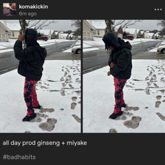 all day prod ginseng