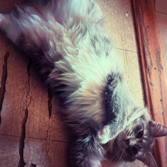 understand me (eelo) #scrapbook 📚