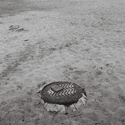 Trifouille1er - F1T3N