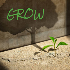 GROW (feat. Seldom Seen)