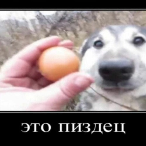 Дипфейк литвина