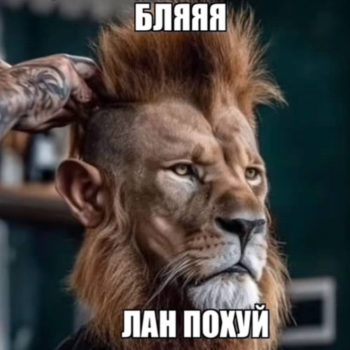 В ХЛАМ