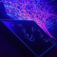 Live @ MissionMiez MainCoon