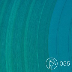 Embodiment 055 - Biri