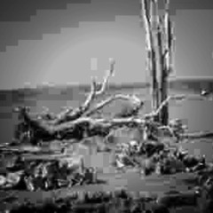 sometimesiwishthingsweredifferent.