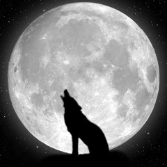 Black Wolf