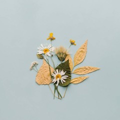 Away (feat. Hemanifezt & Brainded)(all's & Patricia Edwards)