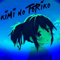 Kimi no Torico Tik Tok (Dance Remix)