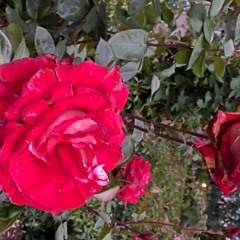 New & hot: Folk & Singer-Songwriter