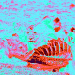 ¹⁷⁸ śǜrvïvǟl