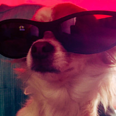 Crazy is my type “rough draft”