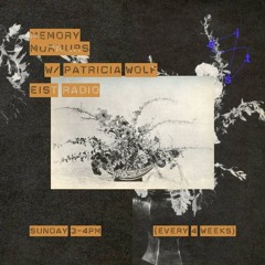 Cormac Walsh - Memory Murmurs #3 with guest Patricia Wolf (22.03.2026)