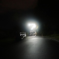 transient bliss [222quiet]