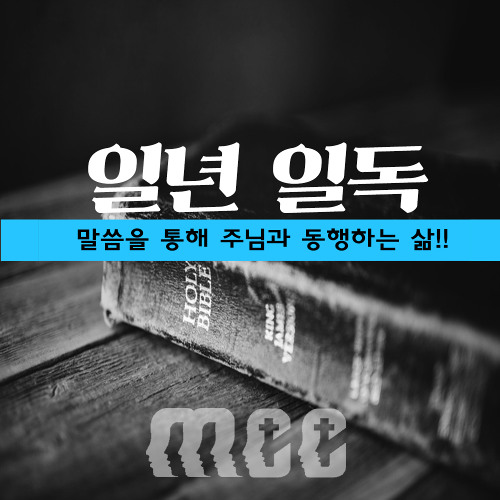 161 성경 1년1독 시편 28-35편