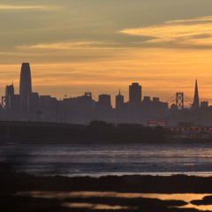 november eight ceremony