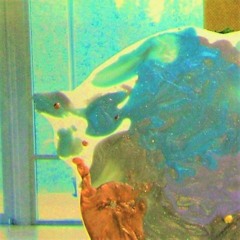 TRiP*n*