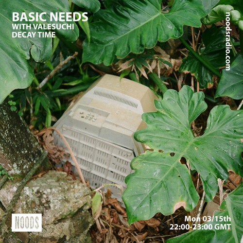 Basic Needs with Valesuchi - "Decay time"